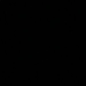 Meet your Posher, Dakota